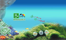 ����鿴����